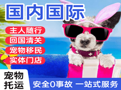 阿荣空运地址国际宠物托运 【国
